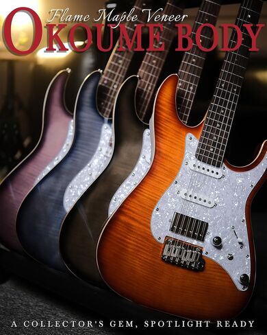 AKLOT Veltrix Electric Guitar Kit: Roasted Maple Neck with Rosewood Fingerboard, Flame Maple Top, Lock Tuners, HSS Alnico 5 Pickups, Coil-Split Switch, 2-Point Tremolo System, Gig Bag, Inferno Burst in Saudi Arabia