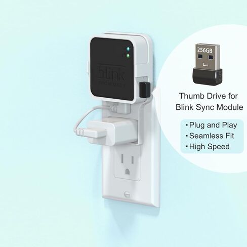 256GB Blink USB Flash Drive,with Outlet Wall Mount for Blink Sync Module 2,Blink USB Storage and Blink Sync Camera Mount for Blink Outdoor Indoor Security System (Sync Module 2 is NOT Included),White in Kuwait