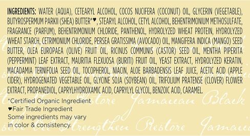SheaMoisture Jamaican Black Castor Oil Treatment Masque Jamaican Black Castor Oil For Dry Hair Paraben Free Hair Mask 11.5 oz in Saudi Arabia