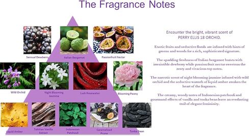 Perry Ellis Fragrances Perry ellis 18 orchid for women - 4-piece gift set, 3.4 Fl Ounce in Kuwait
