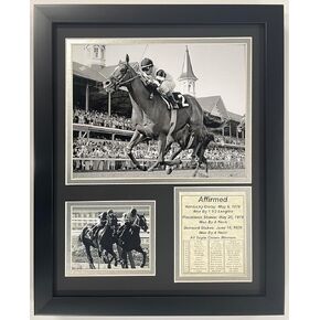 Championsip Racehorse Collectible Memorabilia | Triple Crown Racehorses | Framed Photo Collages | 12"x15" (Secretariat)