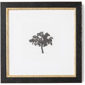 Petal Lane Antique Wall Decor - Framed Antique Decor - Make Your Own Gallery Wall Frame Set - Dark Academia Wall Decor - Canvas Wall Art with Vintage Frame (Autumn River)