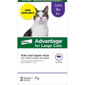 Advantage Topical Cat Flea Treatment and Prevention for Large Cats Over 9 lbs. | Apply Flea Drops Monthly | 2 Treatments