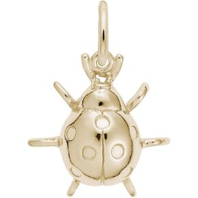 Rembrandt Detailed Ladybug Charm - Metal - Sterling Silver in Saudi Arabia