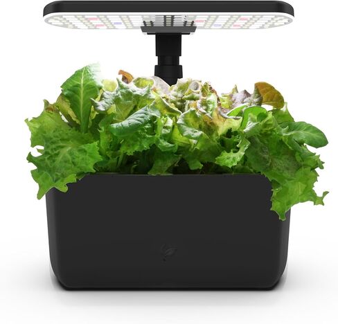 حصاد AeroGarden مع مجموعة بذور الأعشاب الذواقة - حديقة داخلية مائية، أسود in Saudi Arabia