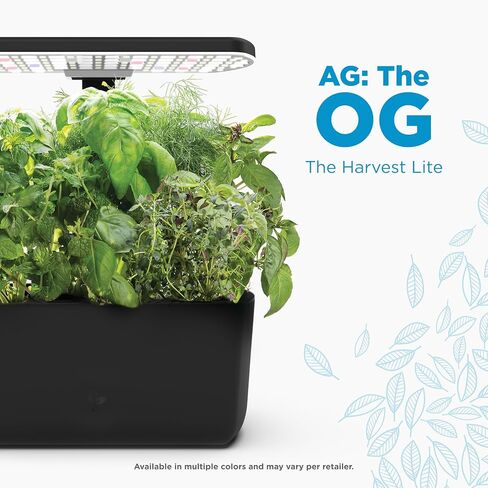 حصاد AeroGarden مع مجموعة بذور الأعشاب الذواقة - حديقة داخلية مائية، أسود in Saudi Arabia