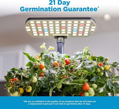 حصاد AeroGarden مع مجموعة بذور الأعشاب الذواقة - حديقة داخلية مائية، أسود in Saudi Arabia