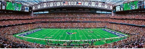 Masterpieces 1000 Piece Sports Jigsaw Puzzle - NFL Philadelphia Eagles Center View Panoramic - 13"x39" in Kuwait