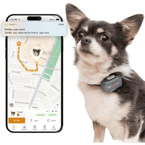 لايت للكلاب الصغيرة 4G GPS Tracker | تتبع الوقت الحقيقي | مراقبة النشاط | تاريخ الموقع | نطاق غير محدود | ببساطة أبيض in Kuwait