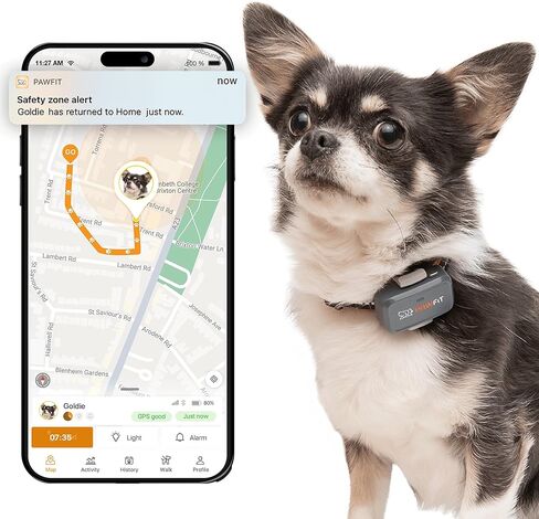 لايت للكلاب الصغيرة 4G GPS Tracker | تتبع الوقت الحقيقي | مراقبة النشاط | تاريخ الموقع | نطاق غير محدود | ببساطة أبيض in Saudi Arabia