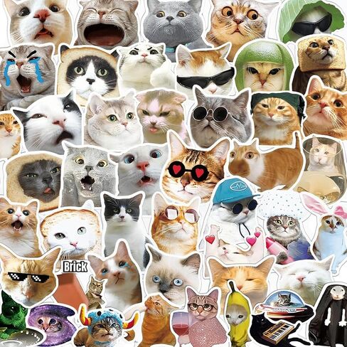 Kathy & Jiggs 100 Funny Cat Meme Stickers - شارات الفينيل المضادة للماء (2-3 بوصة) للمجلة ، الكمبيوتر المحمول ، زجاجة ماء ، لوح التزلج ، الأمتعة - هدية Kawaii للأطفال ، المراهقين ، البالغين in Kuwait