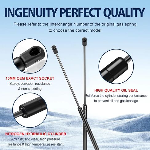 C16-11028 12 بوصة 40 رطل/178N صدمات الغاز دعامات 12 "رفع الدعم لصندوق أدوات بيك آب الشاحنة ، صندوق أدوات الألومنيوم Weatherguard هي Topper Camper Shell Windowr ، مجموعة من 2 in Kuwait