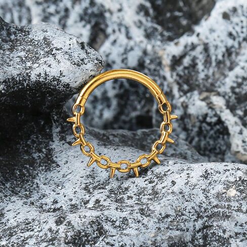 1pc Titanium Nose Rings Hoop 16G Multi-pointed Nose Ring Diameter 8mm/10mm Cartilage Helix Daith Rook Earring Hinged ASTM F136 Septum rings Segment Ring Clicker Piercing Silver-Gold-Black in Kuwait