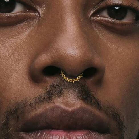 1pc Titanium Nose Rings Hoop 16G Multi-pointed Nose Ring Diameter 8mm/10mm Cartilage Helix Daith Rook Earring Hinged ASTM F136 Septum rings Segment Ring Clicker Piercing Silver-Gold-Black in Kuwait