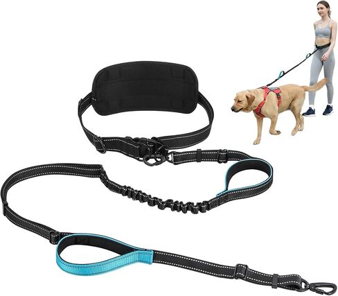 Hands Free Leash for 2 Large Dogs, No Tangle Waist Walking Bungee Leash, 6-8 FT Double Dog Leashes(50-150 lbs) in Saudi Arabia