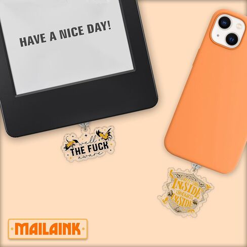 Set 2pcs لقد أبقيت أفكار Insight في الداخل ، حسناً ، سحر قابس الغبار F*ck kindle charms charm 1.5 بوصة من التنين المنطقي الرابع اقرأ البرق/النوع c acrylic materials for e-Reader in Kuwait