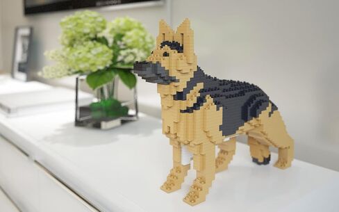 Jekca German Shepherd 01S-M01 | لبنات البناء البلاستيكية | سن 14+ in Saudi Arabia
