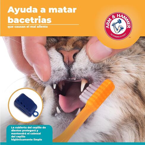 Arm & Hammer Cat Dental Kit - Toothbrush, Toothpaste and Oral Care for Kittens with Tuna and Fresh Mint Flavors in Saudi Arabia