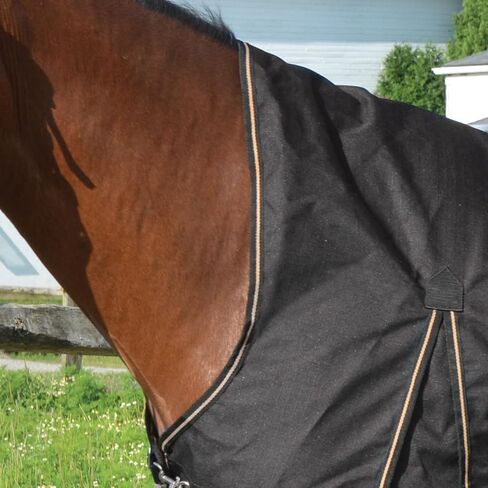 Country Pary Paladin High Neck Thinout Sheet (78) in Kuwait