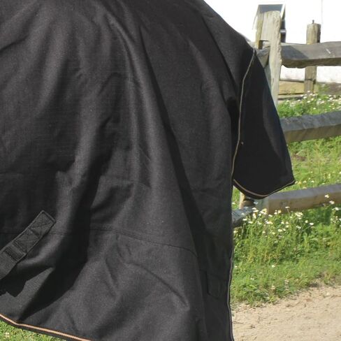 Country Pary Paladin High Neck Thinout Sheet (78) in Kuwait