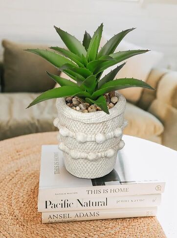 Hollyone 2 Pack Small Artificial Succulents Plants Potted Fake Spiked Succulent Plant in Rustic Pot Mini Faux Plant Agave Aloe Plant Indoor for Office Desk Farmhouse Home Table Shelf Boho Decor in Saudi Arabia