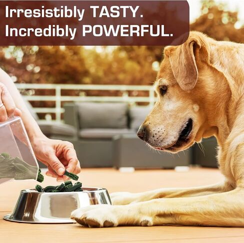 UrbanX HealthyBones Rawhide Free Healthy Foods for Border Terrier and Other Small Terrier Dogs, Chicken Wrapped Sticks Dog Foods, Soft Chewy Foods for Training Rewards, 7 Count in Kuwait