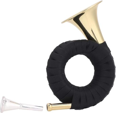 Drfeify Brass Bb Mini Horn، آلة موسيقية ذهبية احترافية، 15.3 أونصة، مع حقيبة مخملية وقماش نظيف، لمحبي الموسيقى والمتعلمين in Saudi Arabia