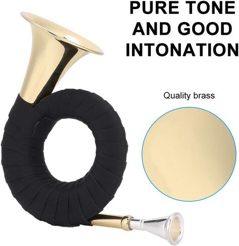 Drfeify Brass Bb Mini Horn، آلة موسيقية ذهبية احترافية، 15.3 أونصة، مع حقيبة مخملية وقماش نظيف، لمحبي الموسيقى والمتعلمين in Saudi Arabia