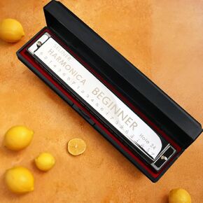 24 Holes Harmonica, Key of C Tremolo Harmonica for Beginners Adults Kids, Performance Competition Mouth Organ with Hard Case and Cloth (Gold) in Saudi Arabia