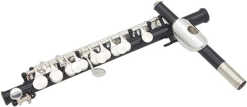 Premium Piccolo Kit, Detachable Silver Plated C Piccolo With Screw Driver, PU Leather Box, Cloth for Beginner, Kids, Student (black) in Saudi Arabia