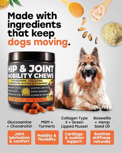 Glucosamine for Dogs 500mg - دعم الورك والمفصل مع الكولاجين ، شوندروتن والكركم - الدكتوراه المعادلة - ملحق التنقل للكلاب - 140 مضغ - نكهة لحم البقر - مصنوعة في الولايات المتحدة الأمريكية in Saudi Arabia