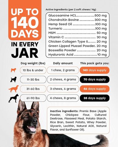 Glucosamine for Dogs 500mg - دعم الورك والمفصل مع الكولاجين ، شوندروتن والكركم - الدكتوراه المعادلة - ملحق التنقل للكلاب - 140 مضغ - نكهة لحم البقر - مصنوعة في الولايات المتحدة الأمريكية in Saudi Arabia