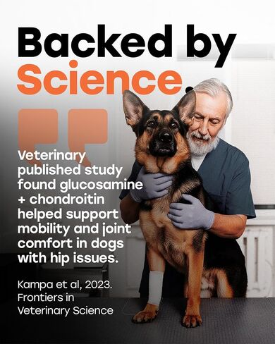 Glucosamine for Dogs 500mg - دعم الورك والمفصل مع الكولاجين ، شوندروتن والكركم - الدكتوراه المعادلة - ملحق التنقل للكلاب - 140 مضغ - نكهة لحم البقر - مصنوعة في الولايات المتحدة الأمريكية in Saudi Arabia