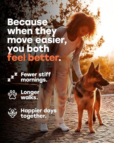 Glucosamine for Dogs 500mg - دعم الورك والمفصل مع الكولاجين ، شوندروتن والكركم - الدكتوراه المعادلة - ملحق التنقل للكلاب - 140 مضغ - نكهة لحم البقر - مصنوعة في الولايات المتحدة الأمريكية in Saudi Arabia