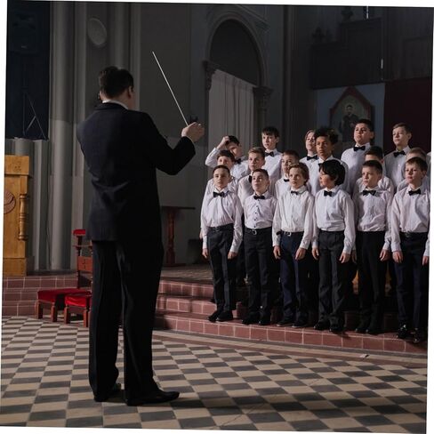 Professional Music Conductor Handle for Concerts and Smooth Grain and Comfortable Grip for Stage Use in Kuwait