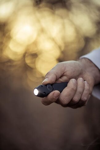 Streamlight 88814 Wedge 300-Lumen 1200-Candela Flat Carry Carry Carry ، يشمل كابل USB-C والشبل ، الأحمر in Saudi Arabia