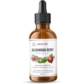 Blushwood Berry EBC-46 Maximum Strength Immune and Cell Support Tincture - Fruit and Seed Extract - Gentle, Oral, and Topical Alcohol-Free Glycerin Formula - All Ages - One 120ML Bottle