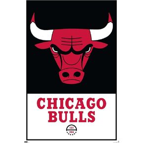 Trends International NBA Chicago Bulls - Logo 21 Wall Poster, 14.725" x 22.375", Barnwood Framed Version