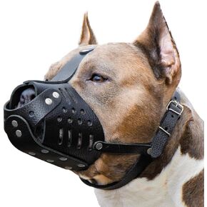 Medium Leather Dog Muzzle for Pitbulls – Soft Dog Muzzle for Large Dogs Pitbull – Breathable Pitbull Muzzle Anti Bite – Adjustable Basket Muzzle for Pitbull, Amstaff, Labrador etc. (M size)