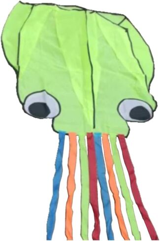 طائرة ورقية الأخطبوط، طائرة ورقية عملاقة ثلاثية الأبعاد مع بكرة سلسلة طائرة ورقية، لعبة طائرات ورقية كبيرة للشاطئ، طائرات ورقية بألوان قوس قزح مع ذيل in Kuwait