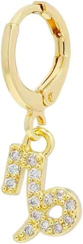 18K Gold Plated Pavé Zodiac Astrology Sign Hoop Earrings in Saudi Arabia