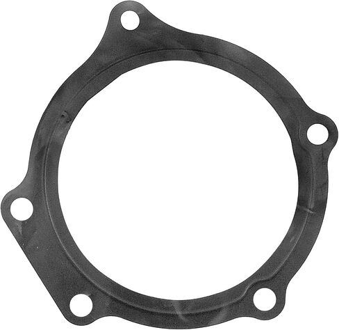 ACDelco GM Genuine Parts 251-2029 Water Pump Gasket in Saudi Arabia