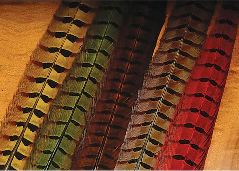 Hareline Ringneck Pheasant Tail Pair - Yellow in Kuwait