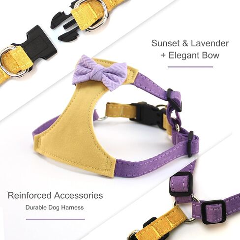 Flower Dog Harness with Leash Set, Cute Soft Puppy Harness for Small Girl Boy Dogs, No Pull No Choke Escape Proof Pet Harnesses, Brown S in Saudi Arabia