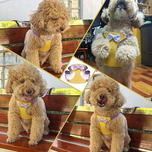 Flower Dog Harness with Leash Set, Cute Soft Puppy Harness for Small Girl Boy Dogs, No Pull No Choke Escape Proof Pet Harnesses, Brown S in Saudi Arabia