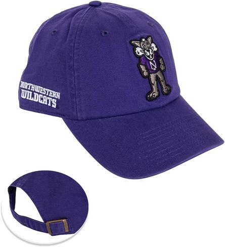 Desert Cactus Northwestern University Baseball Hat NU Wildcats Brimmed Embroirderd Hats Cap Adjustable Cloth Strap Adult (Style I) Purple in Saudi Arabia