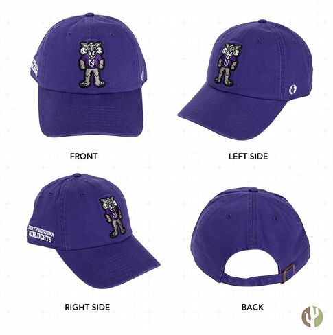 Desert Cactus Northwestern University Baseball Hat NU Wildcats Brimmed Embroirderd Hats Cap Adjustable Cloth Strap Adult (Style I) Purple in Saudi Arabia