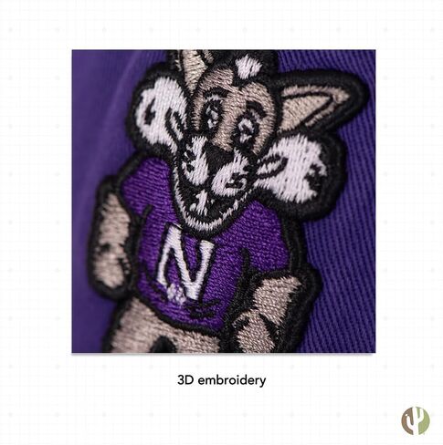 Desert Cactus Northwestern University Baseball Hat NU Wildcats Brimmed Embroirderd Hats Cap Adjustable Cloth Strap Adult (Style I) Purple in Saudi Arabia