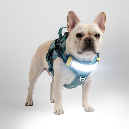 Lumi One LED Dog Harness من أجل الرؤية الليلية والسلامة ، براءات الاختراع المعلقة-سترة الكلب عالية الوضوح مع 1000 LUMEN LED ، بطارية قابلة للشحن ، ملاءمة قابلة للتعديل ، تقليم عاكس (أسود ، كبير) in Saudi Arabia