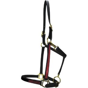 Country Pride 2-Tone .75 inch Beta Halter in Kuwait